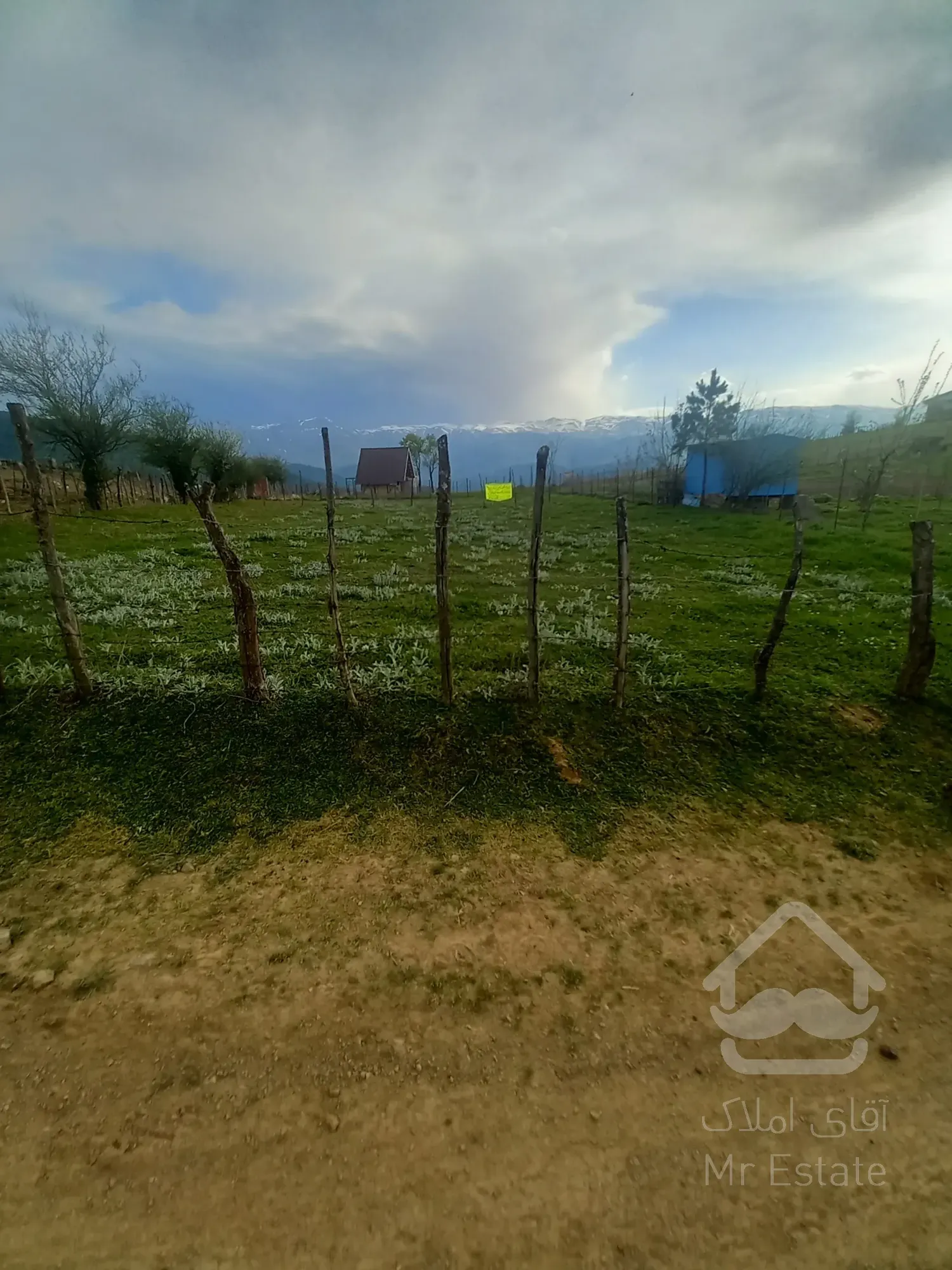 زمین فروی فروشی