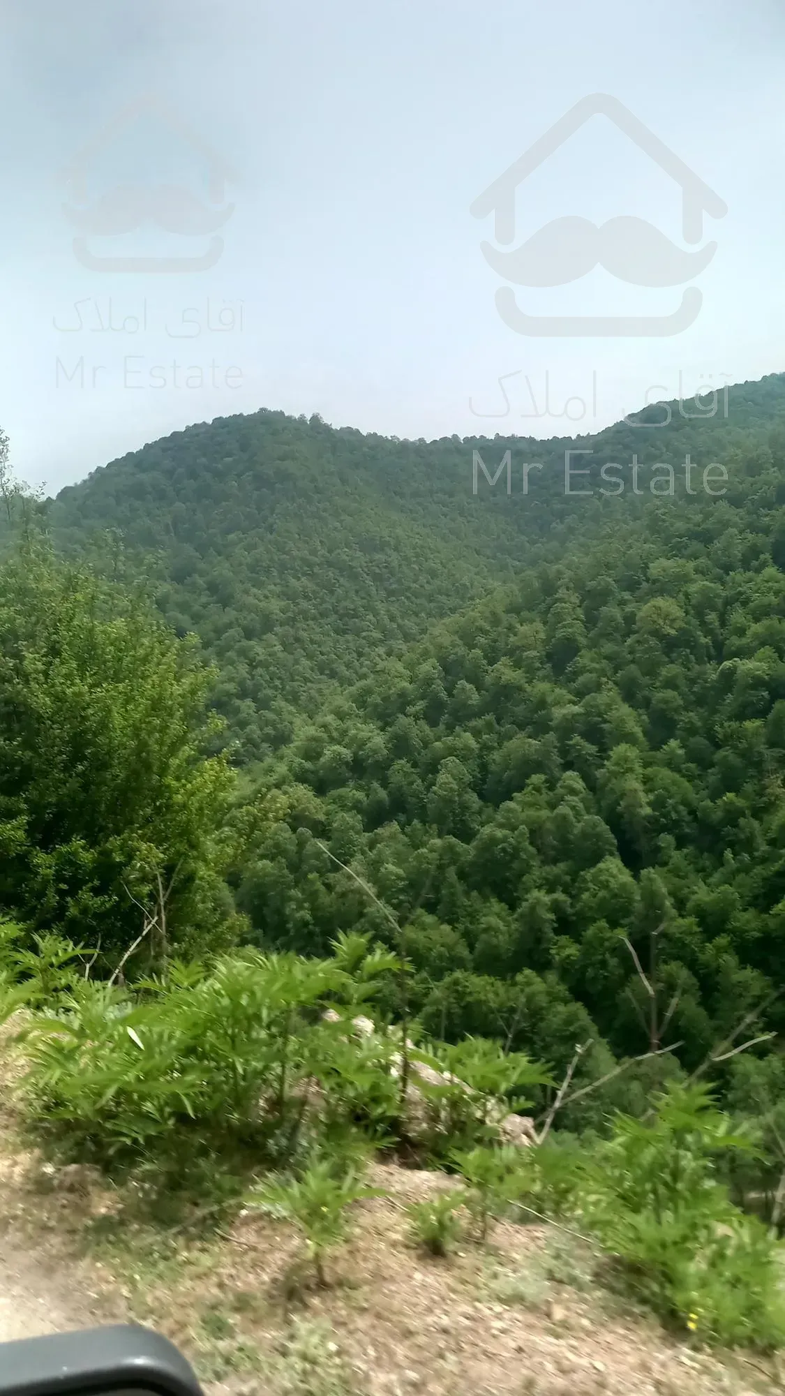 ۶۰۰متر زمین سند تک برگ/با چشم انداز ابدی