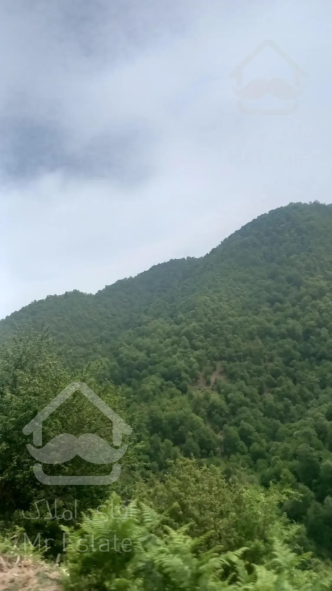 ۶۰۰متر زمین سند تک برگ/با چشم انداز ابدی