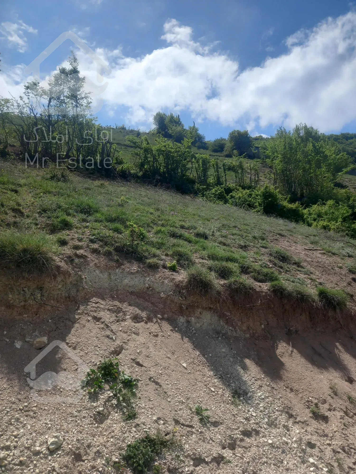 زمین ۳۰۰ متری ویو دریاچه ولشت