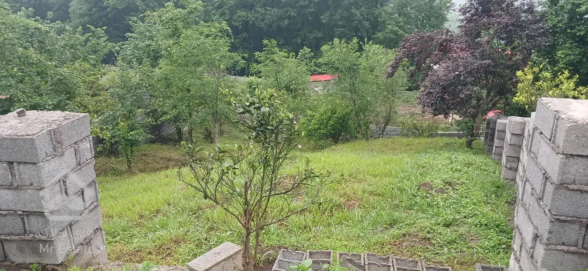 فروش زمین چسبیده به جنگل