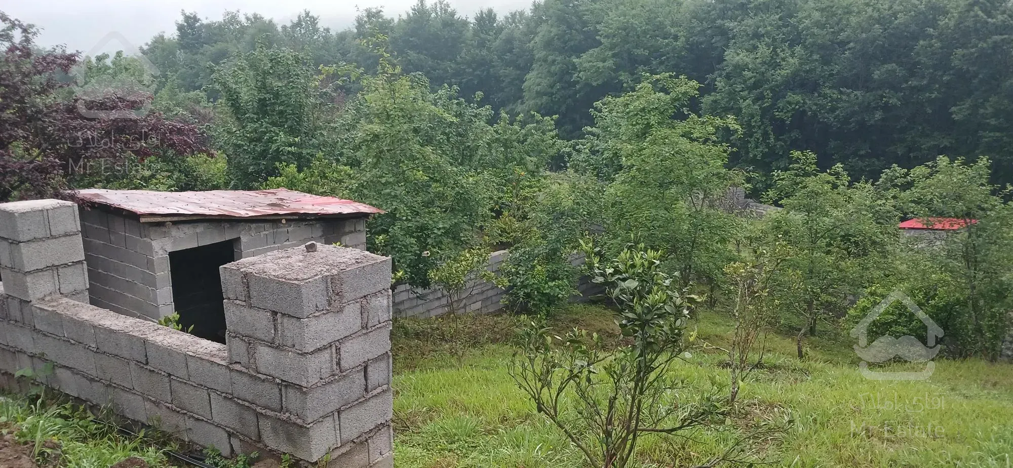 فروش زمین چسبیده به جنگل