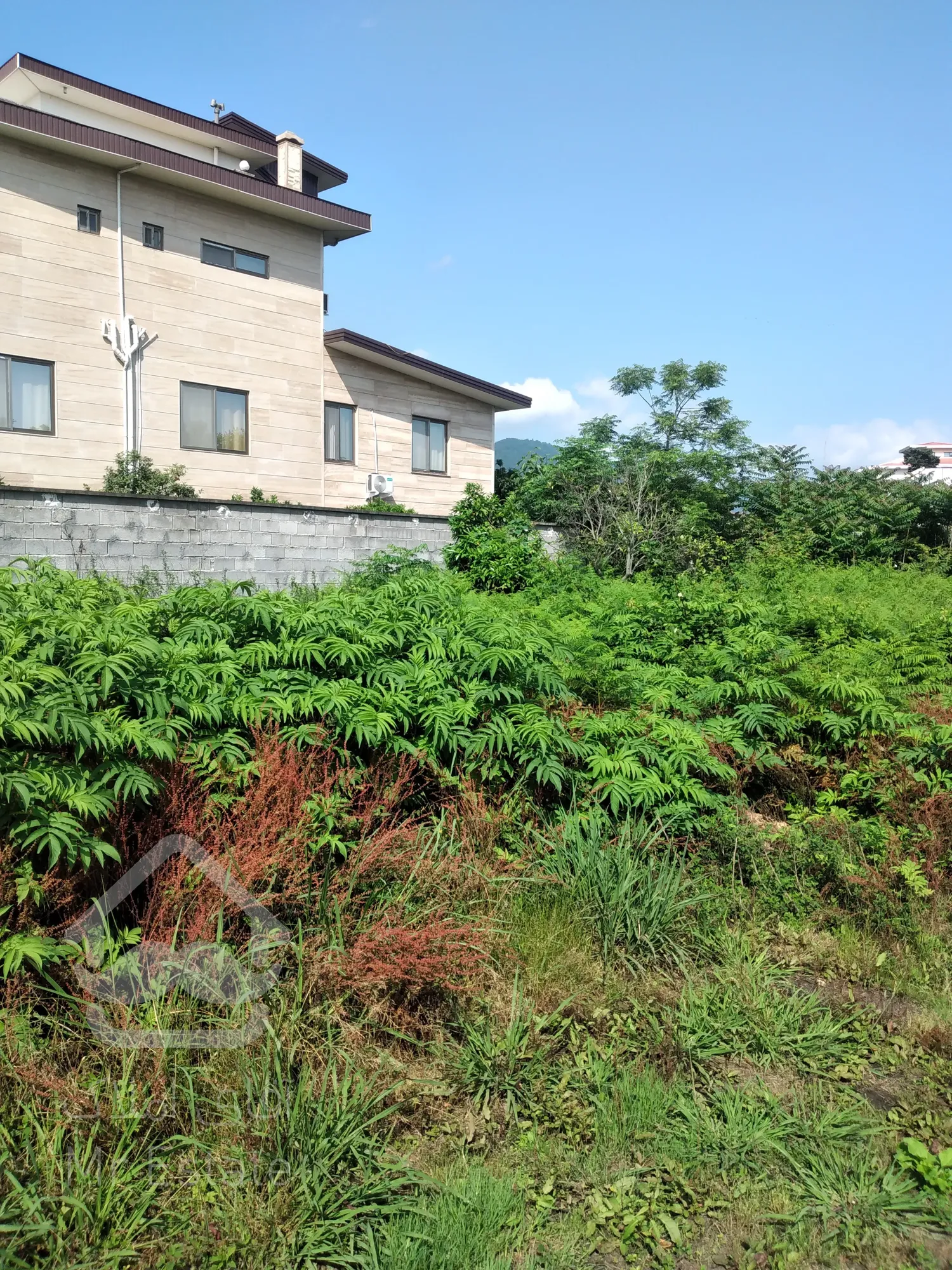 زمین‌ ۵۲۷‌متری در رامسر‌مرکز‌‌شهر‌کتالم