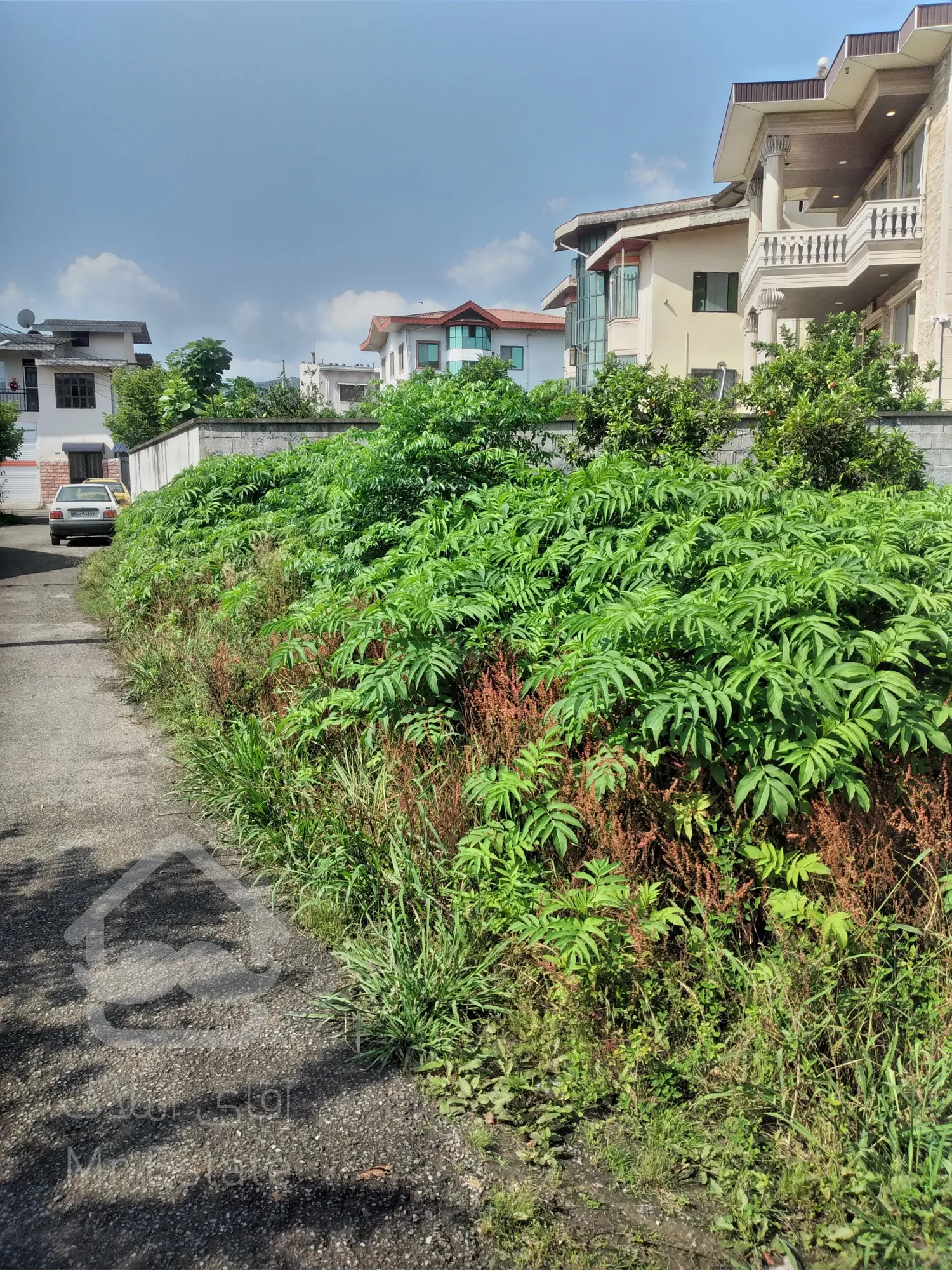 زمین‌ ۵۲۷‌متری در رامسر‌مرکز‌‌شهر‌کتالم