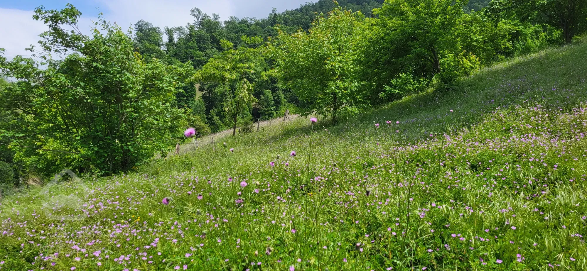 فروش ۷۰۰متر زمین مسکونی