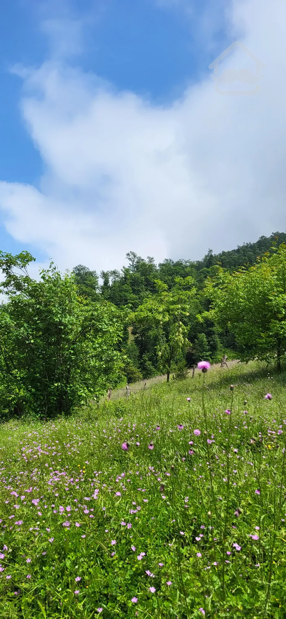 فروش ۷۰۰متر زمین مسکونی