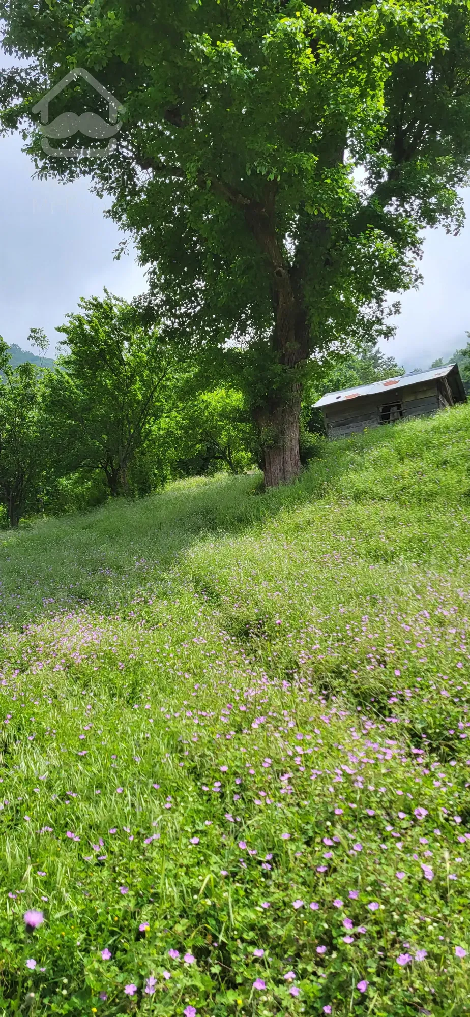 فروش ۷۰۰متر زمین مسکونی