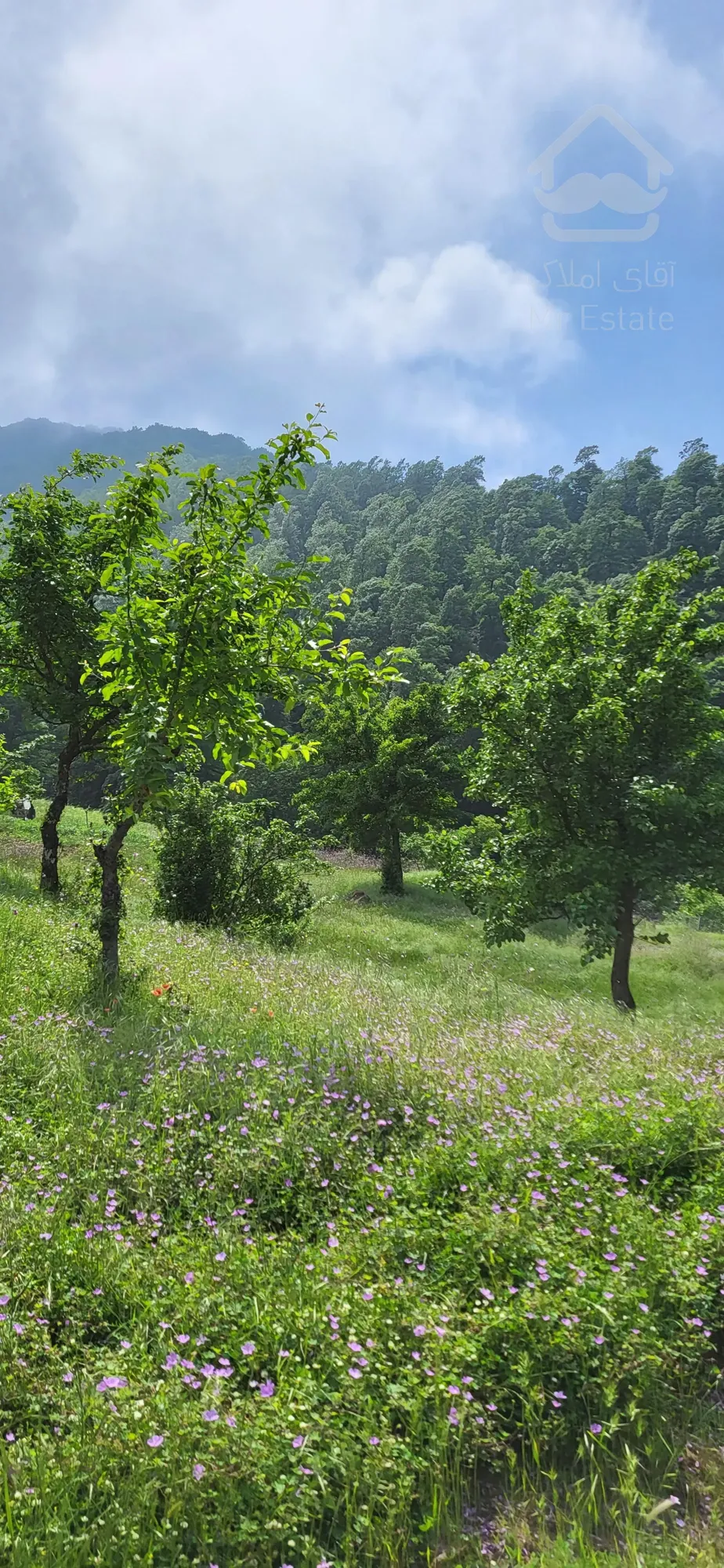 فروش ۷۰۰متر زمین مسکونی