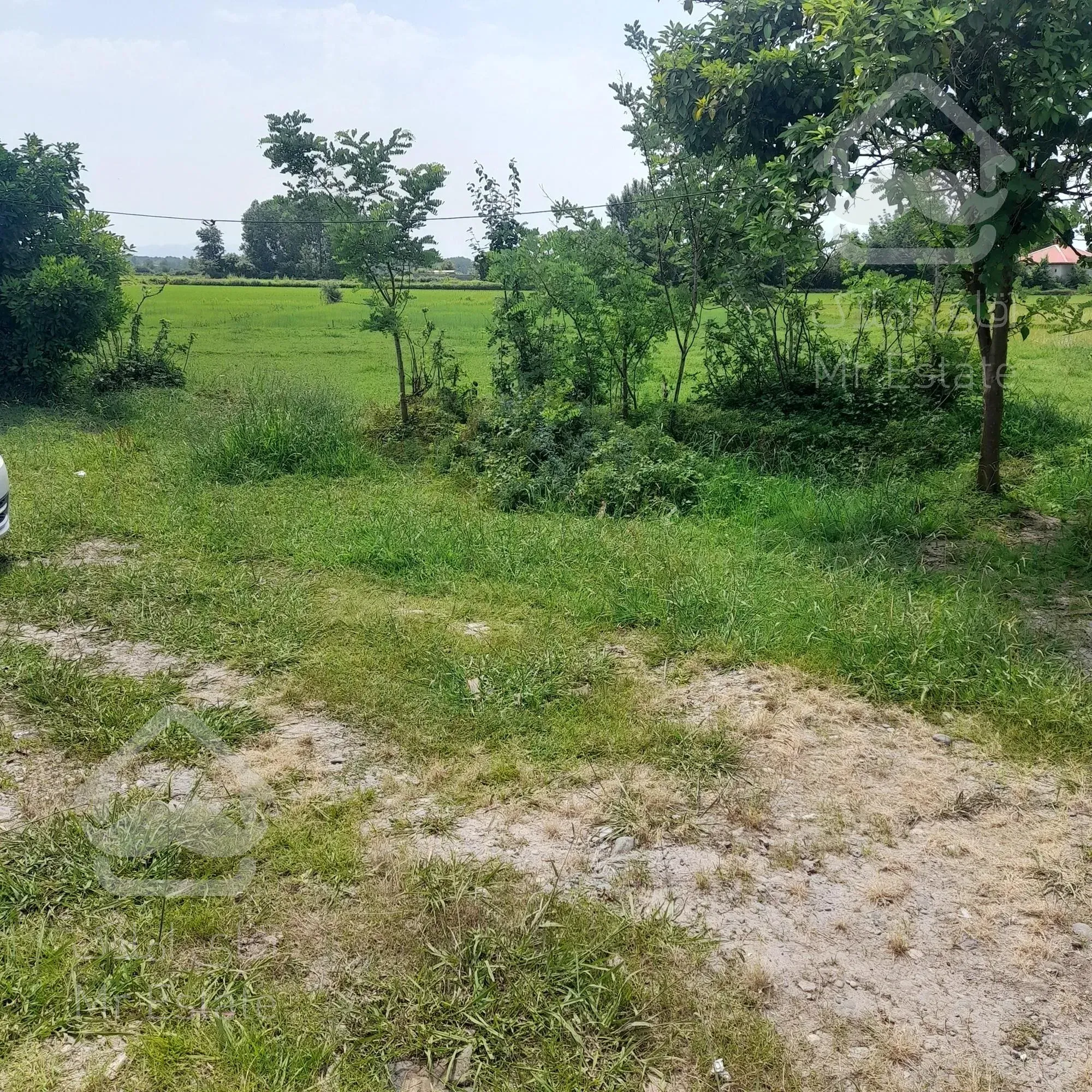 زمین کاملآمسکونی بانامه