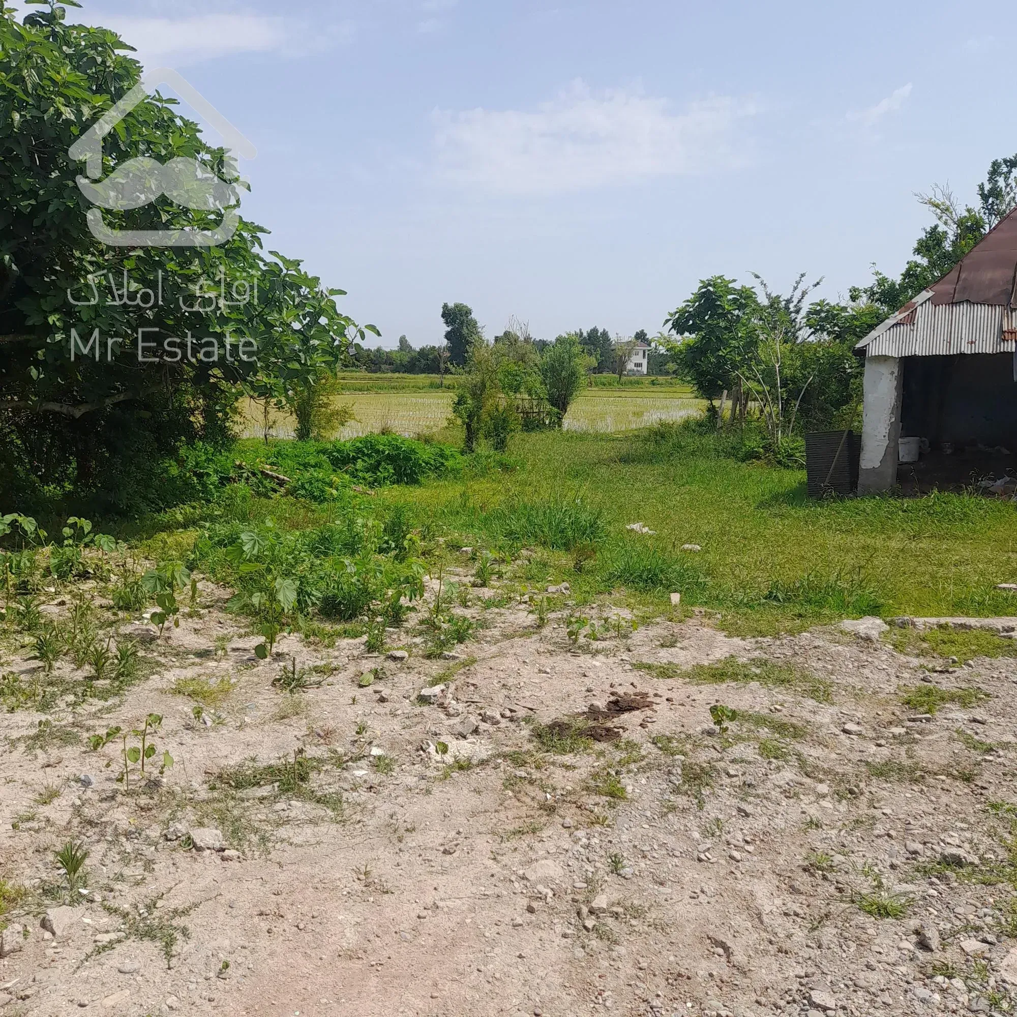 زمین کاملآمسکونی بانامه