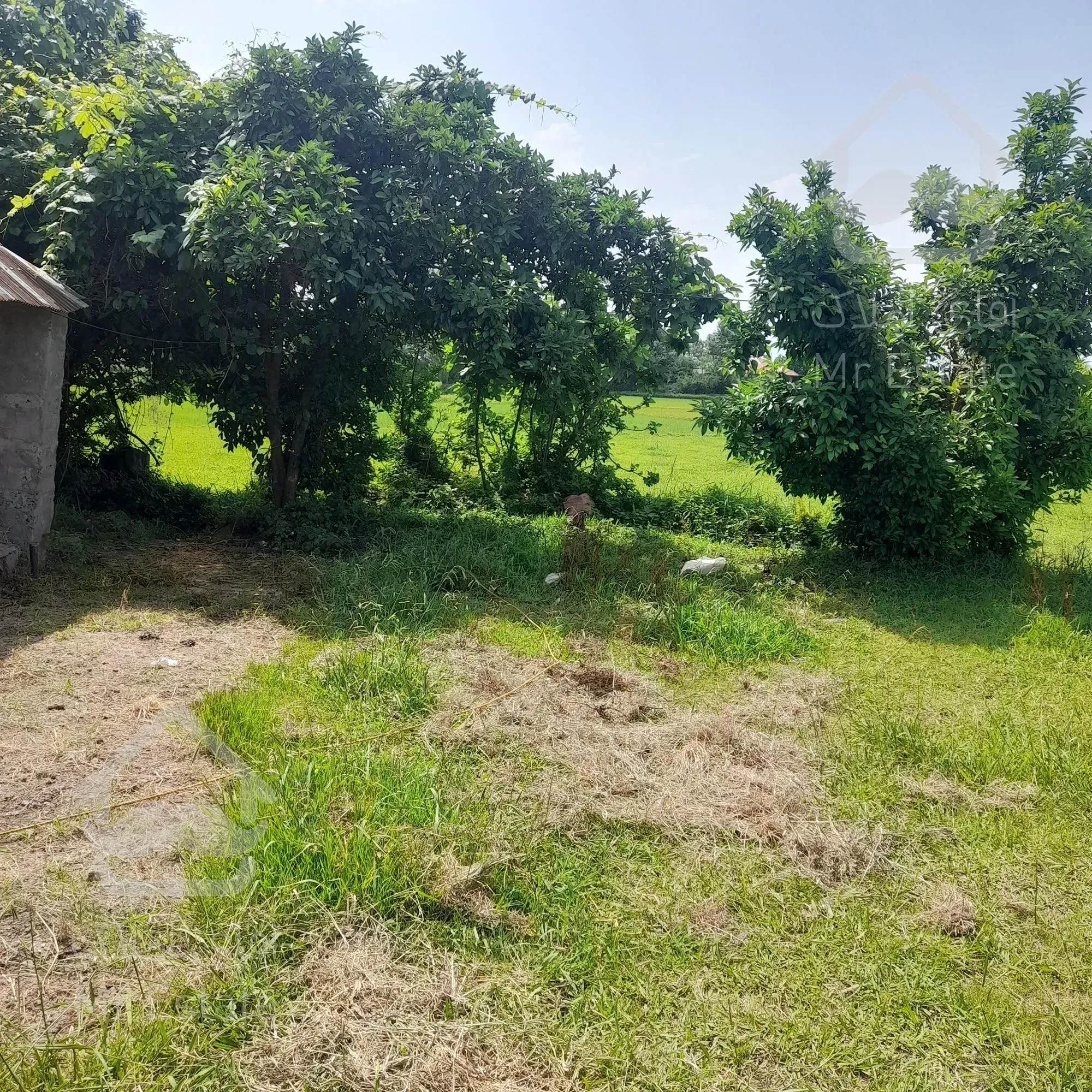 زمین کاملآمسکونی بانامه