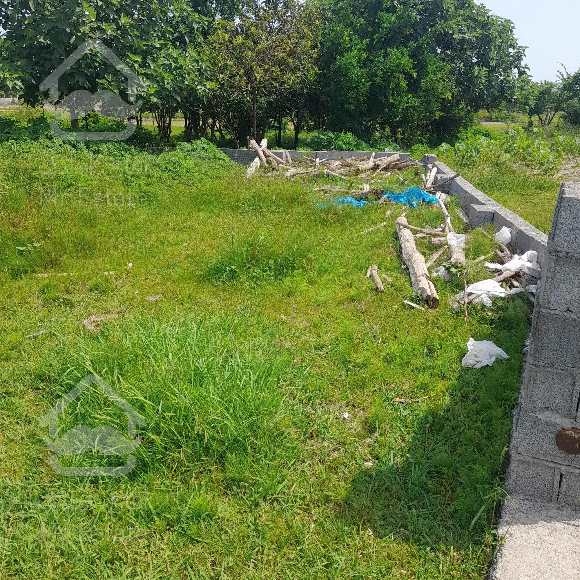 زمین کاملآمسکونی بانامه