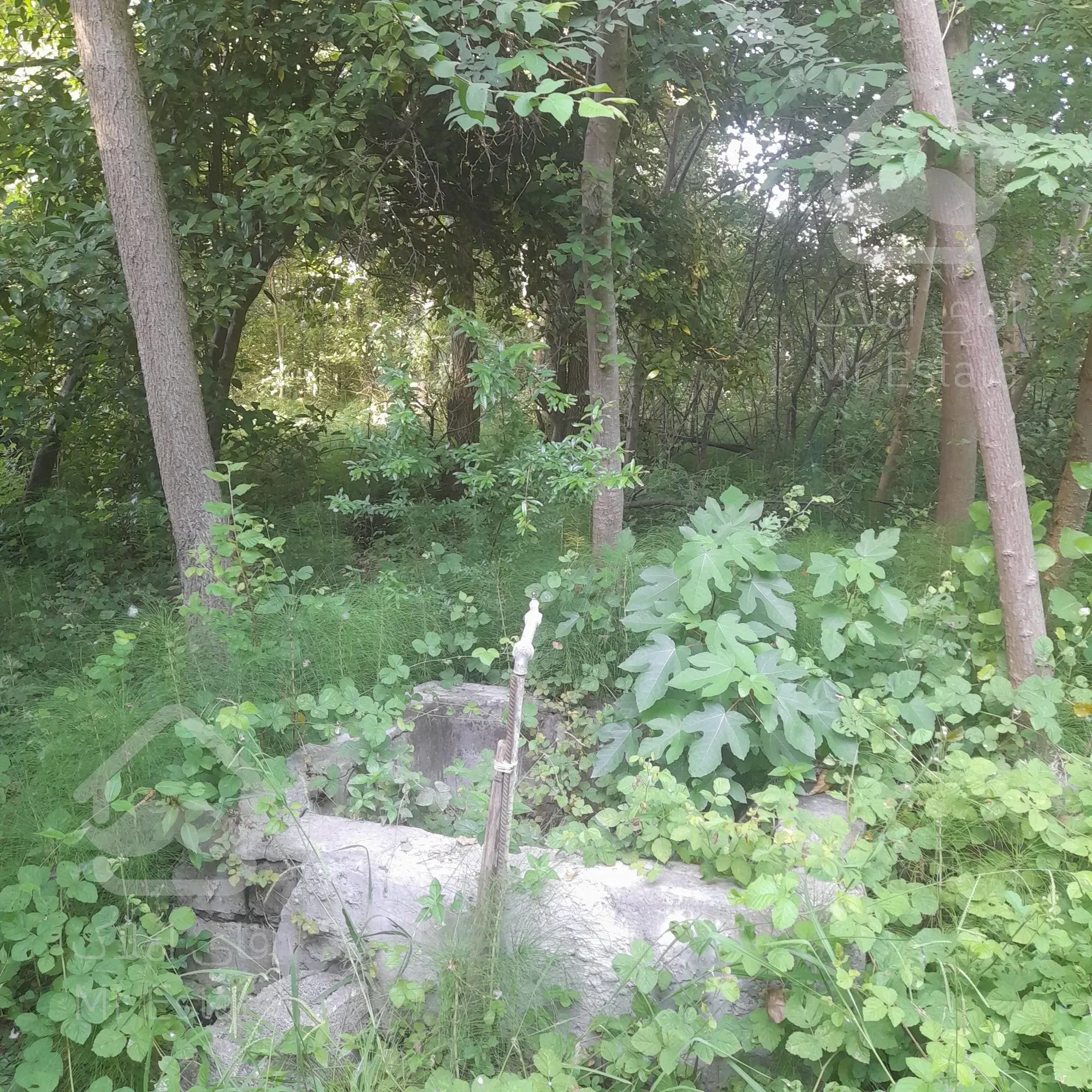 فروش خانه ویلایی قدیمی قابل سکونت لولمان