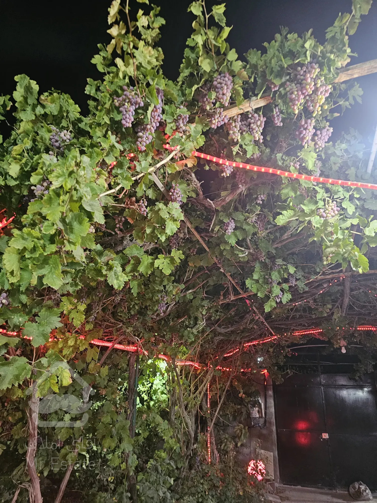 ویلا باغ استخردار