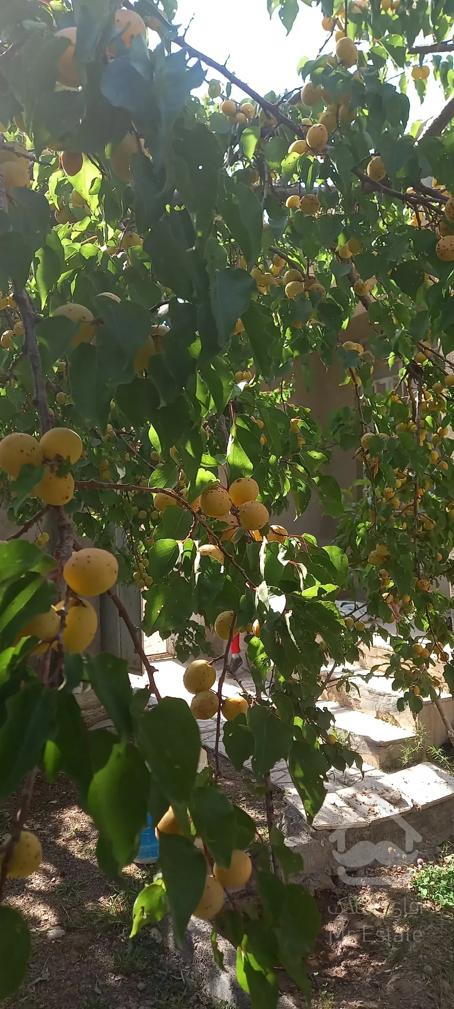 خونه ویلای ۲۳۰متر در روستای چلگان