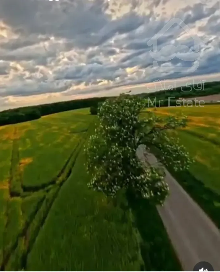 فروش زمین کشاورزی