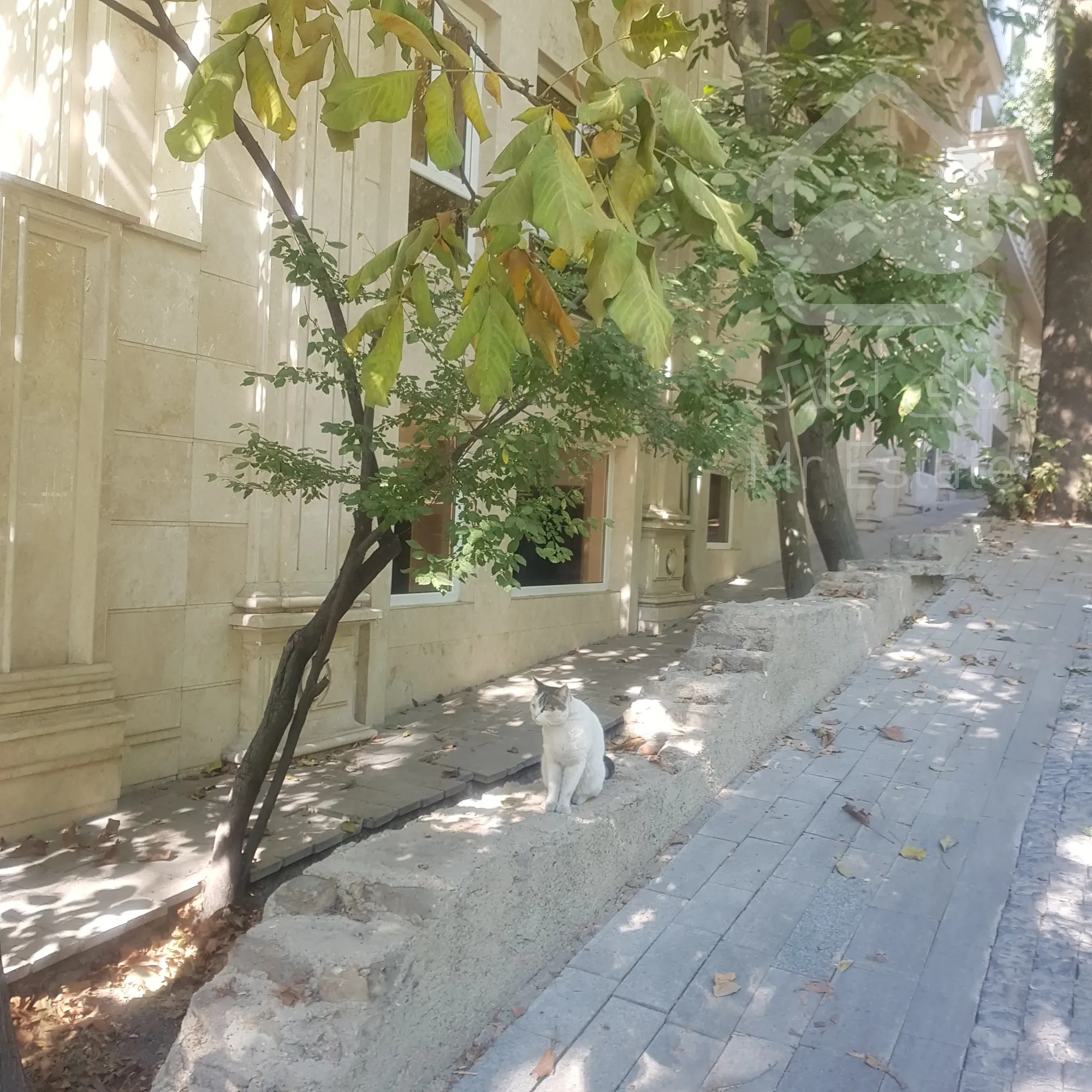 فروش کلنگی دو نبش ۲۰۱متری نیاوران