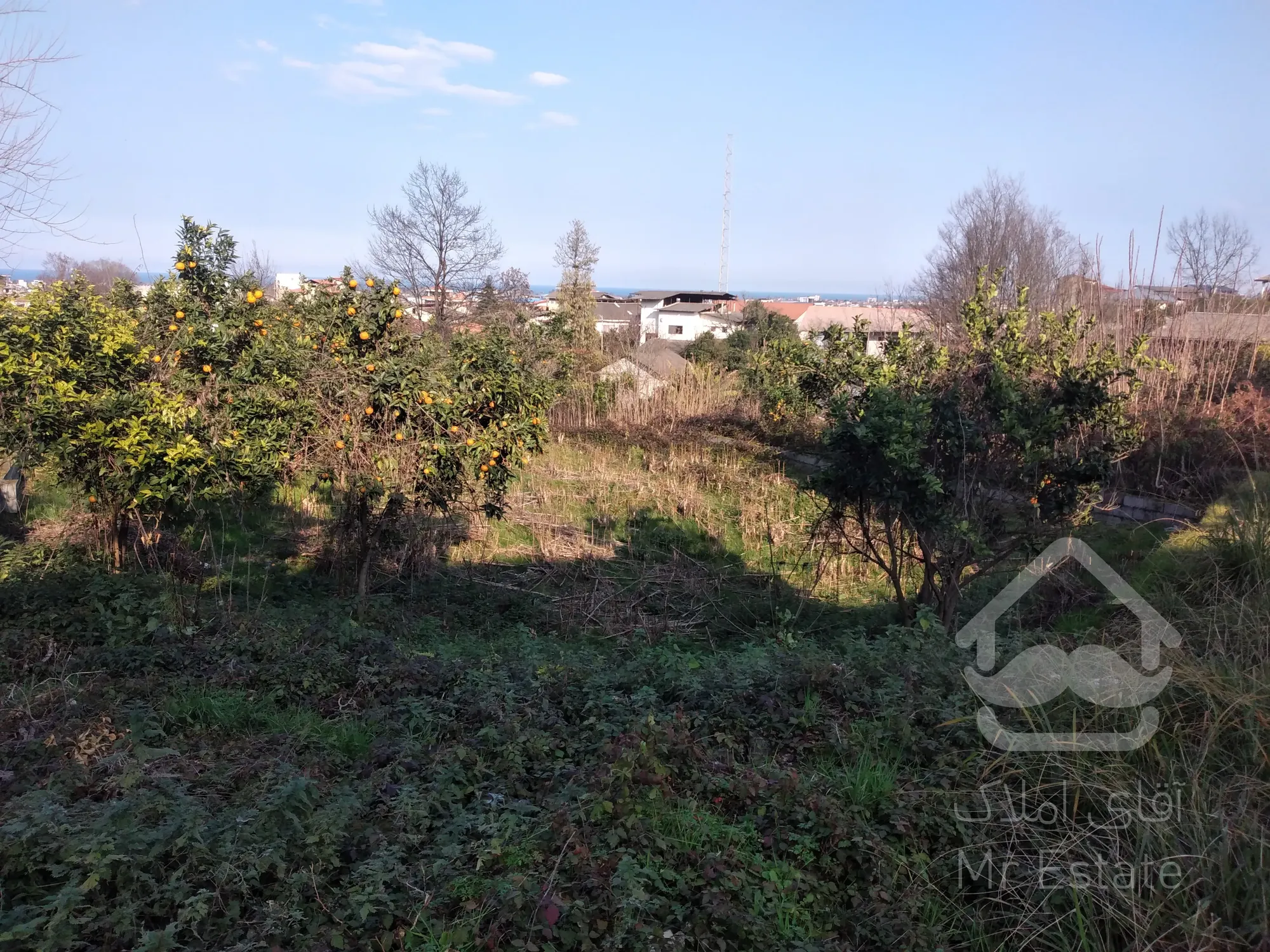 زمین‌ ۲‌هکتاری‌در رامسر/مناسب‌برای‌شهرک‌سازی