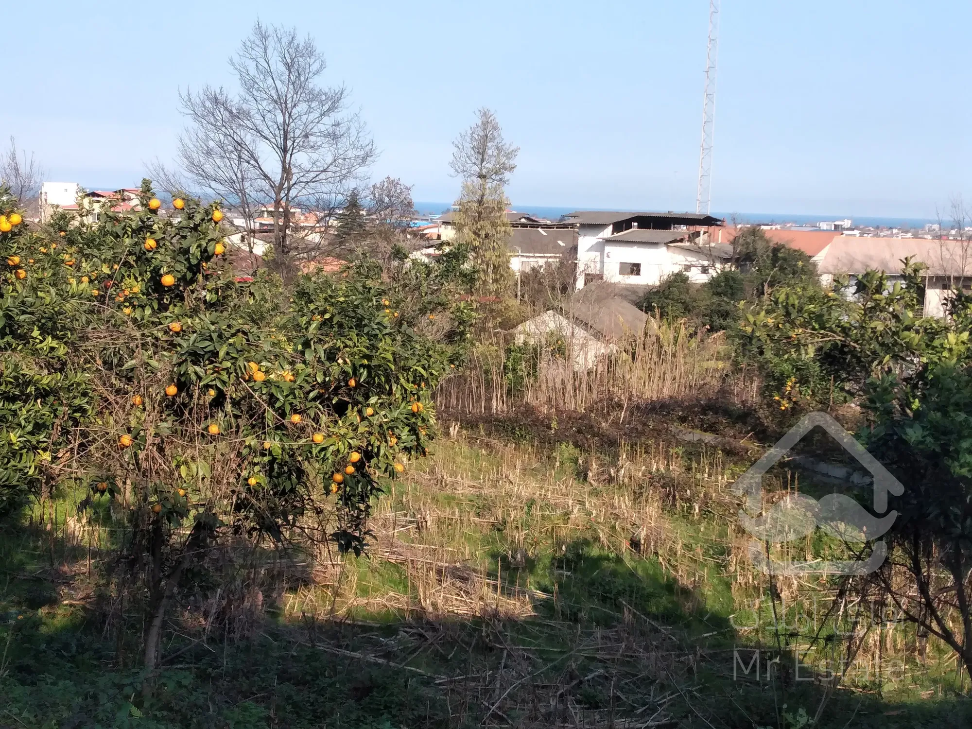 زمین‌ ۲‌هکتاری‌در رامسر/مناسب‌برای‌شهرک‌سازی
