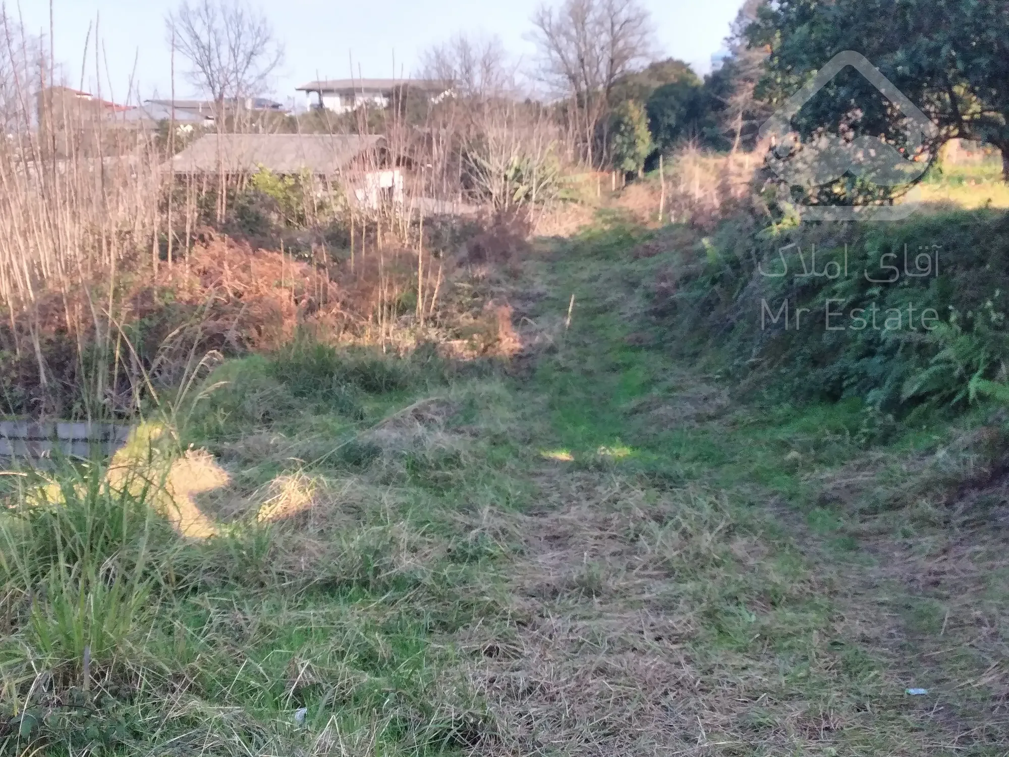 زمین‌ ۲‌هکتاری‌در رامسر/مناسب‌برای‌شهرک‌سازی