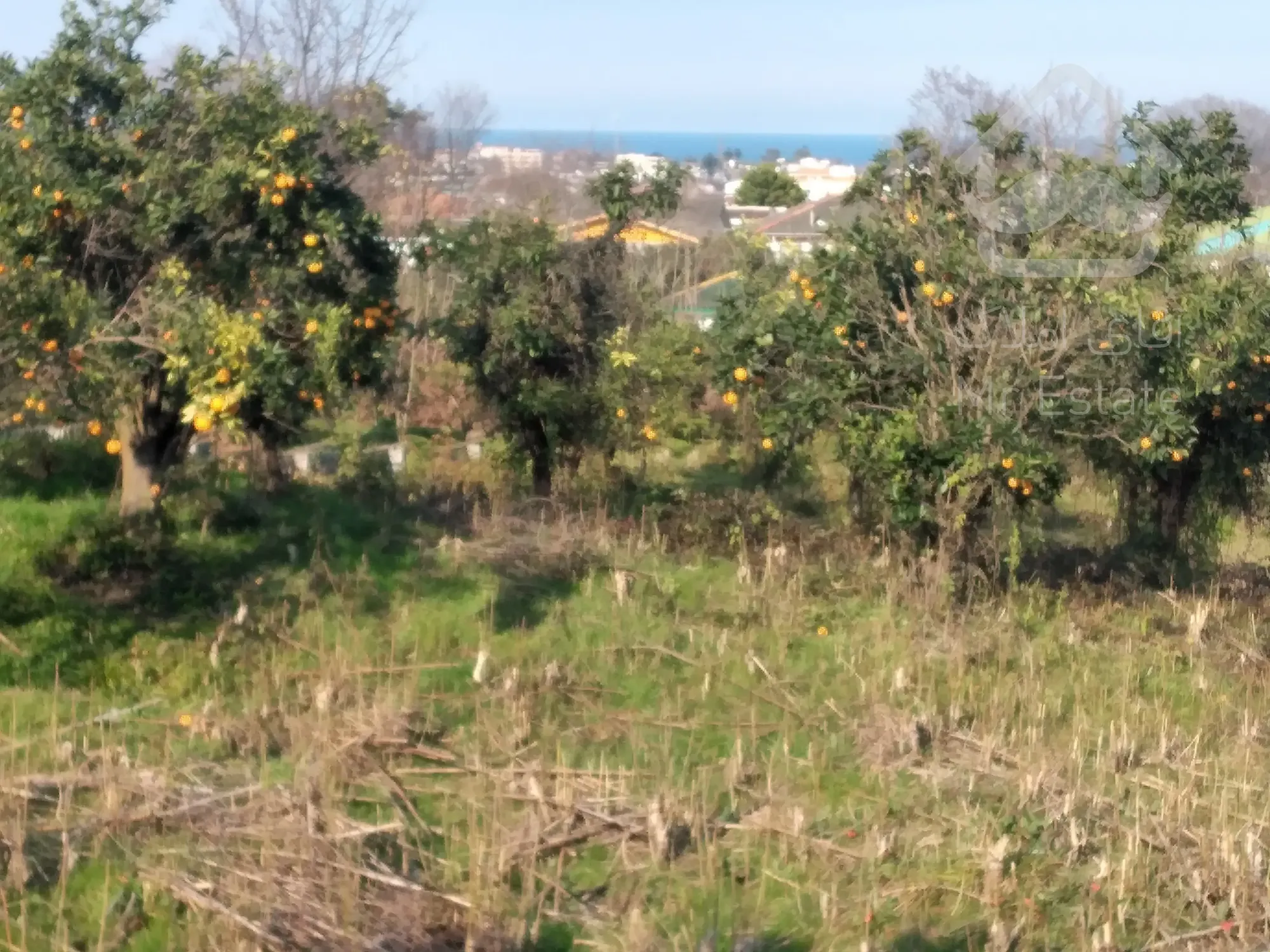 زمین‌ ۲‌هکتاری‌در رامسر/مناسب‌برای‌شهرک‌سازی