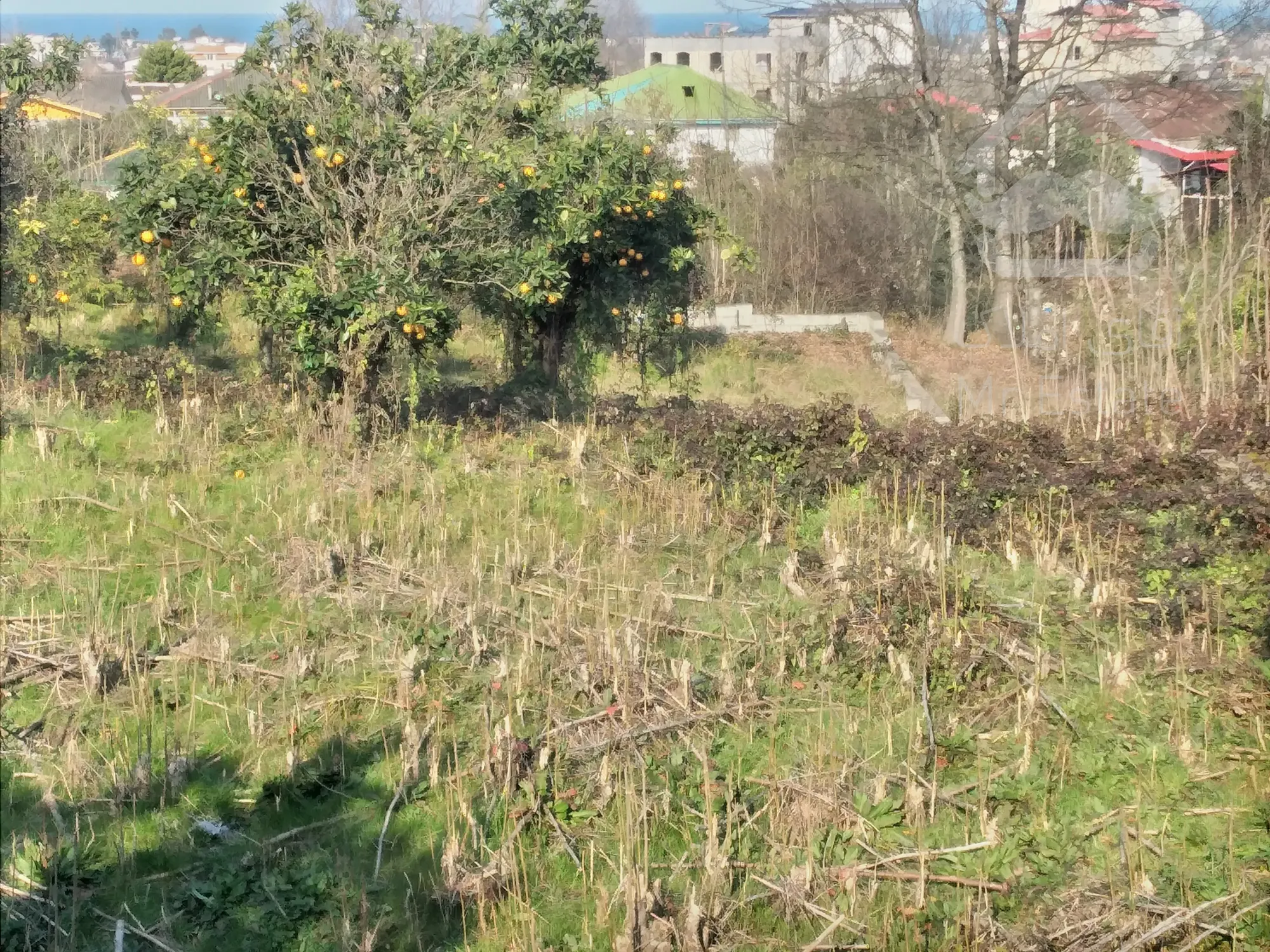 زمین‌ ۲‌هکتاری‌در رامسر/مناسب‌برای‌شهرک‌سازی