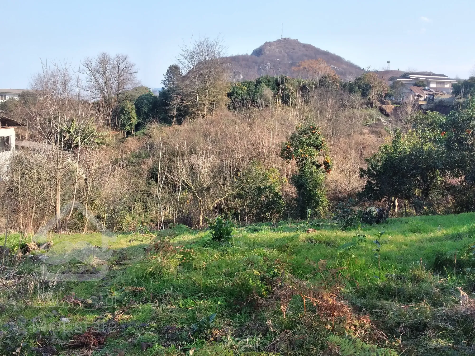 زمین‌ ۲‌هکتاری‌در رامسر/مناسب‌برای‌شهرک‌سازی