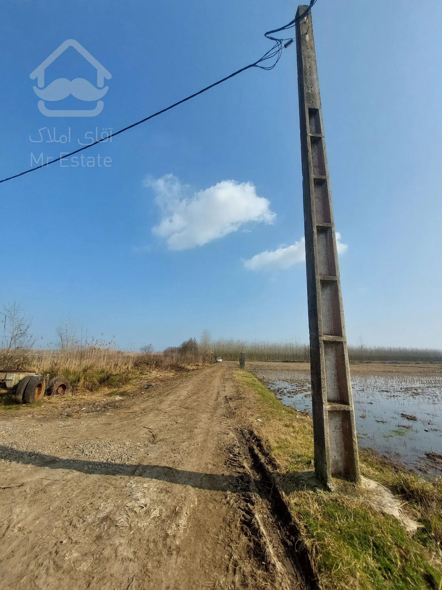 فروش زمین ۲۰ هکتاری گیلان ، رشت