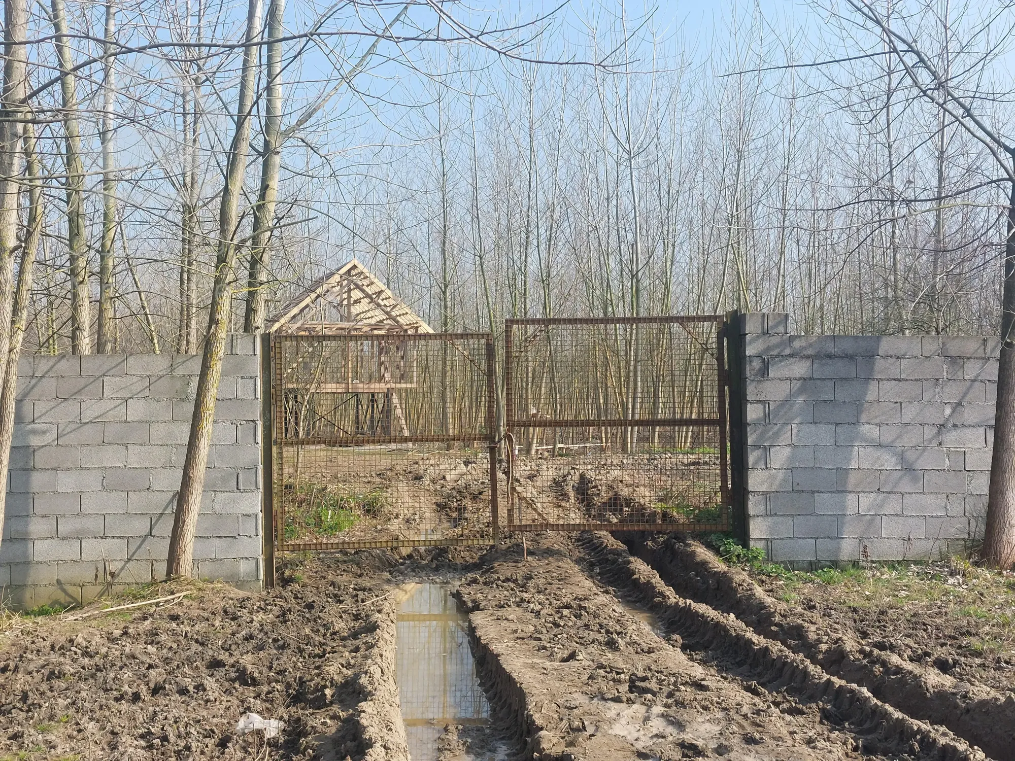 فروش زمین ۲۰ هکتاری گیلان ، رشت