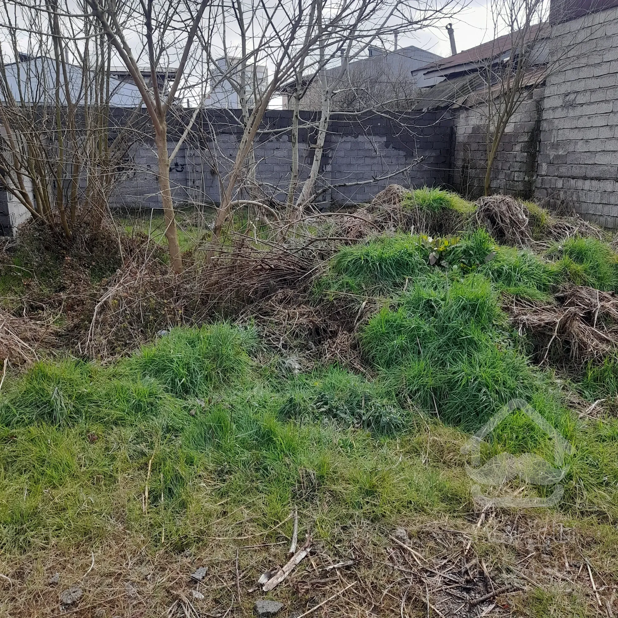 فروش زمین مسکونی شهری لولمان