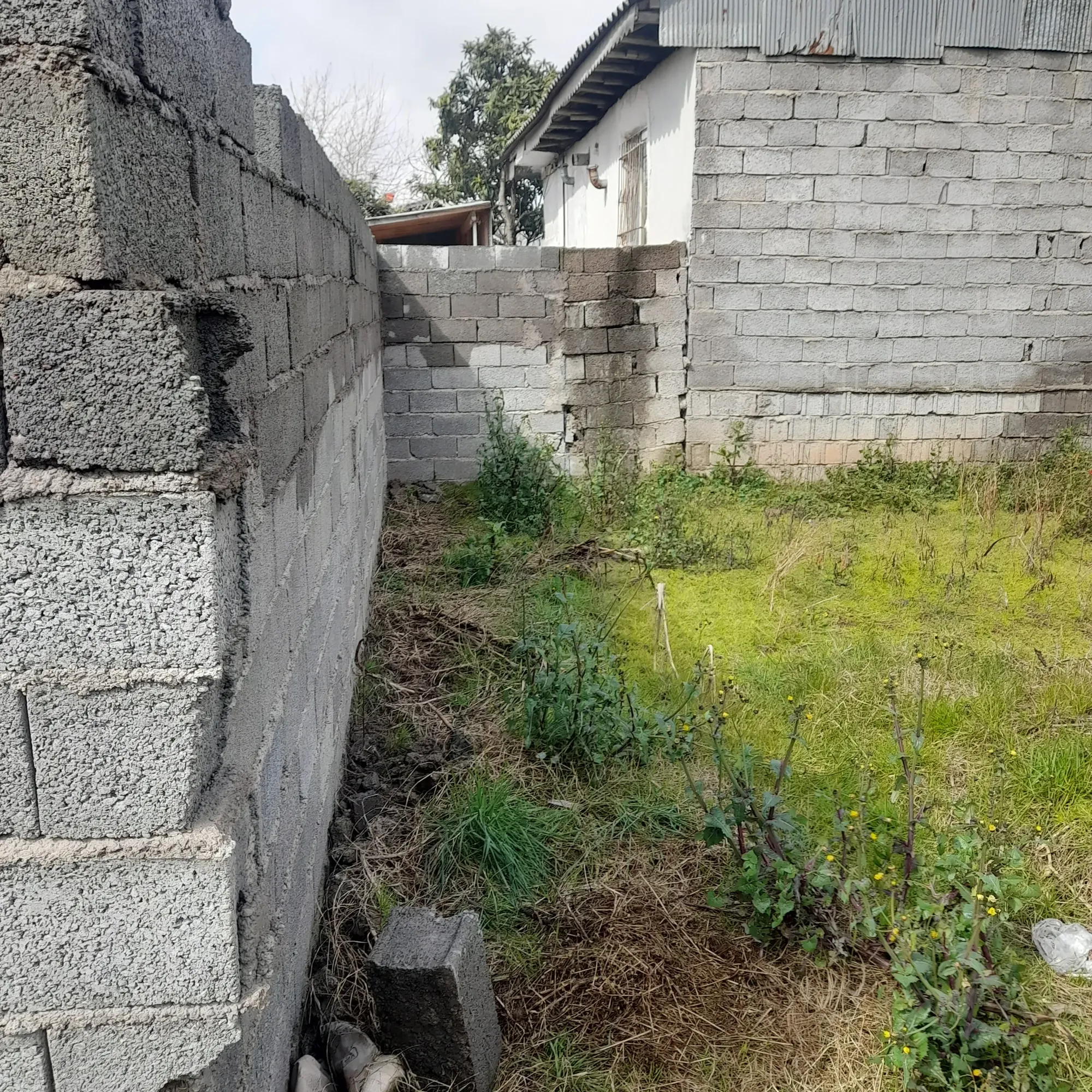 فروش زمین مسکونی شهری لولمان