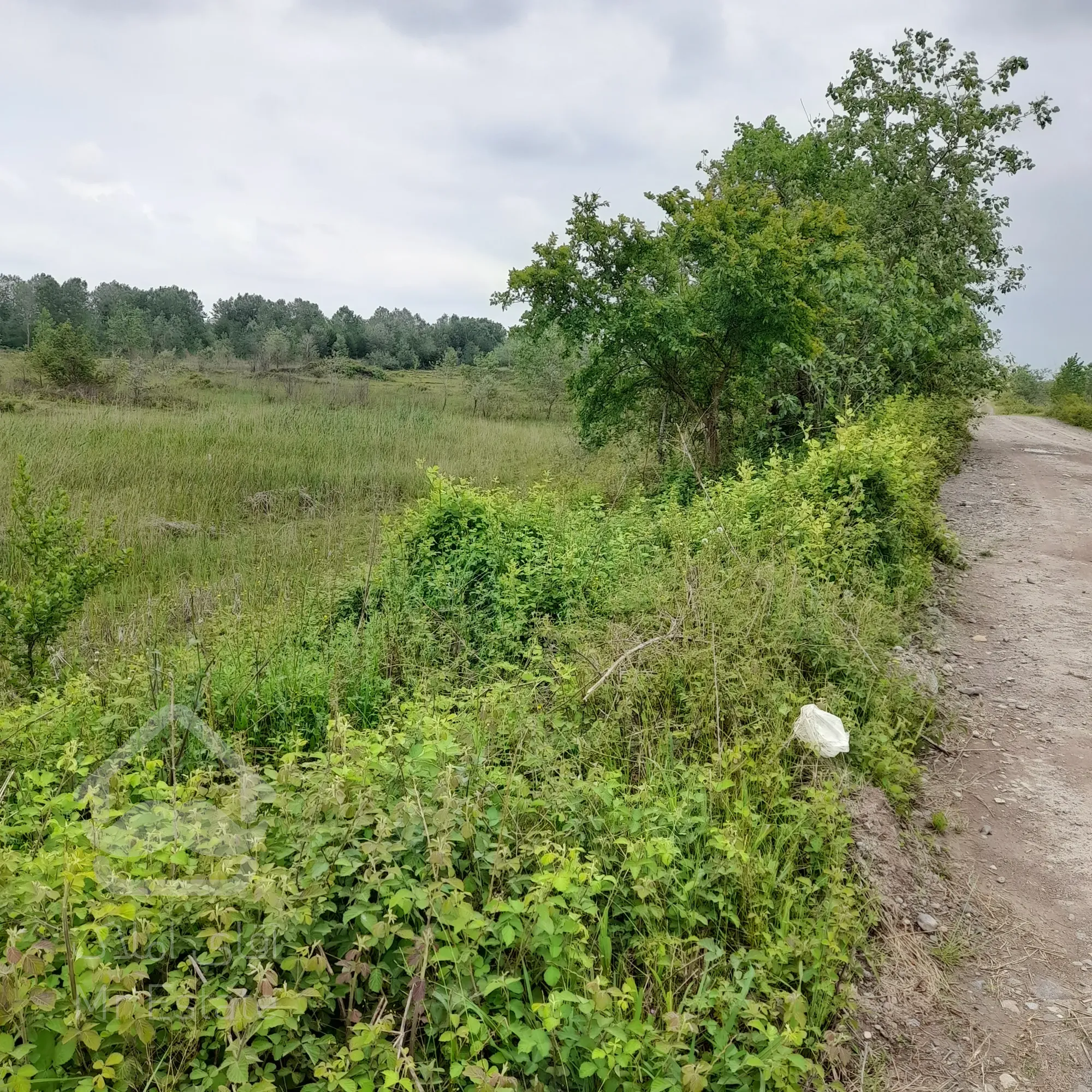 ۱۰۰۰۰مترفروش زمین داخل طرح