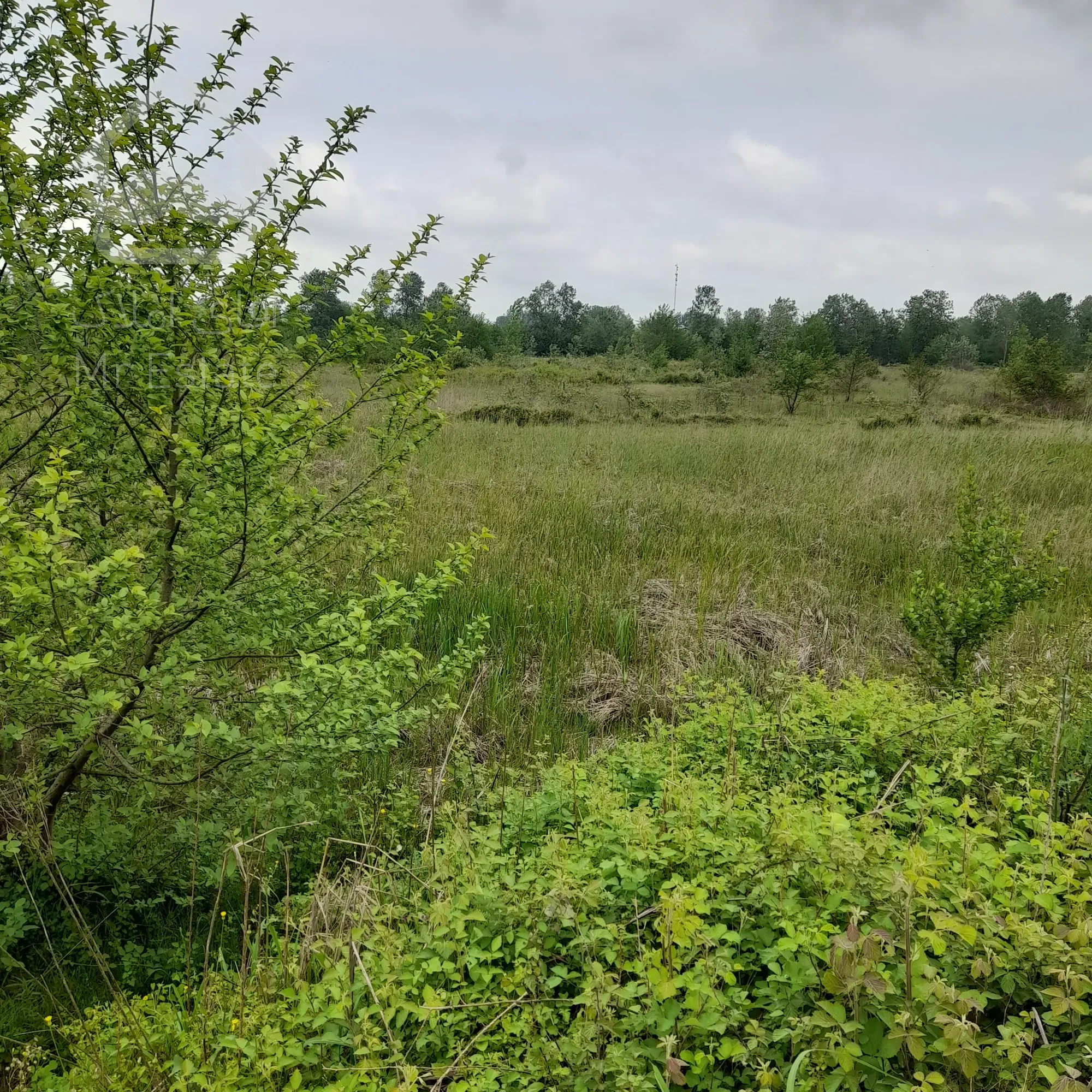 ۱۰۰۰۰مترفروش زمین داخل طرح