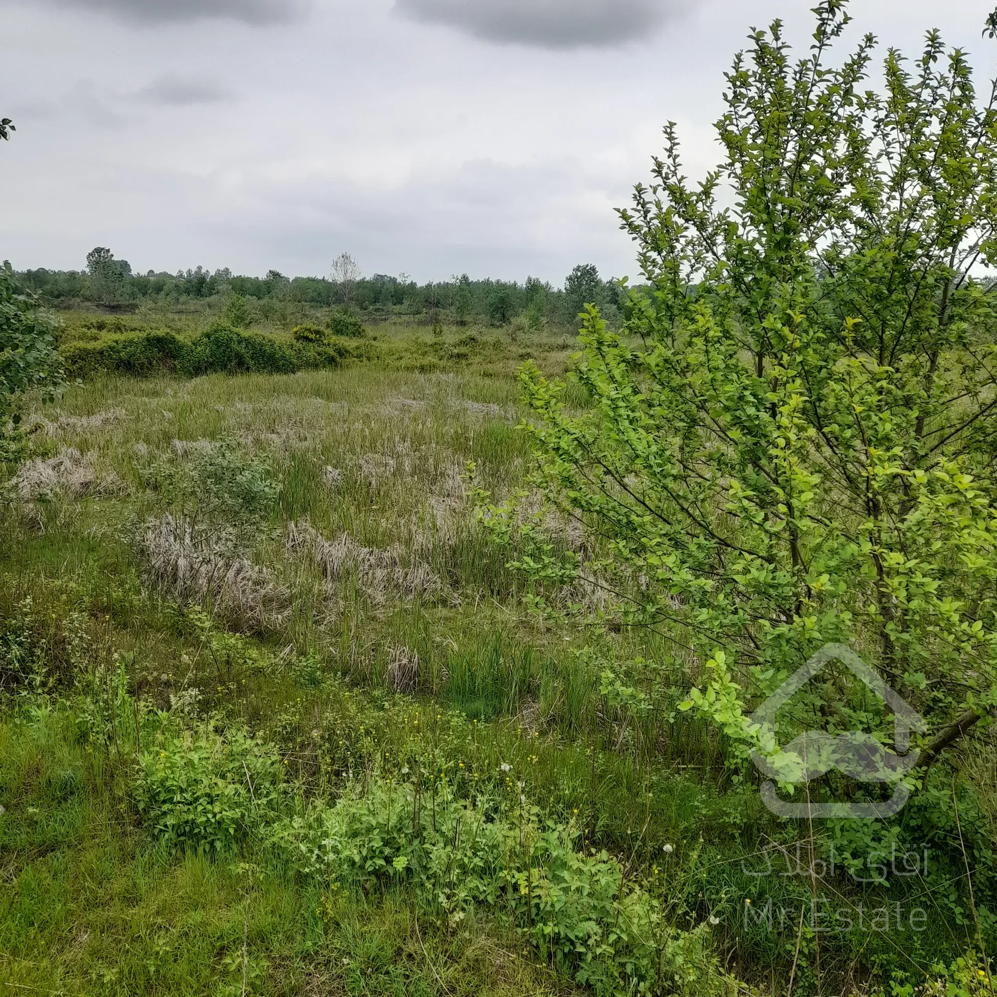 ۱۰۰۰۰مترفروش زمین داخل طرح