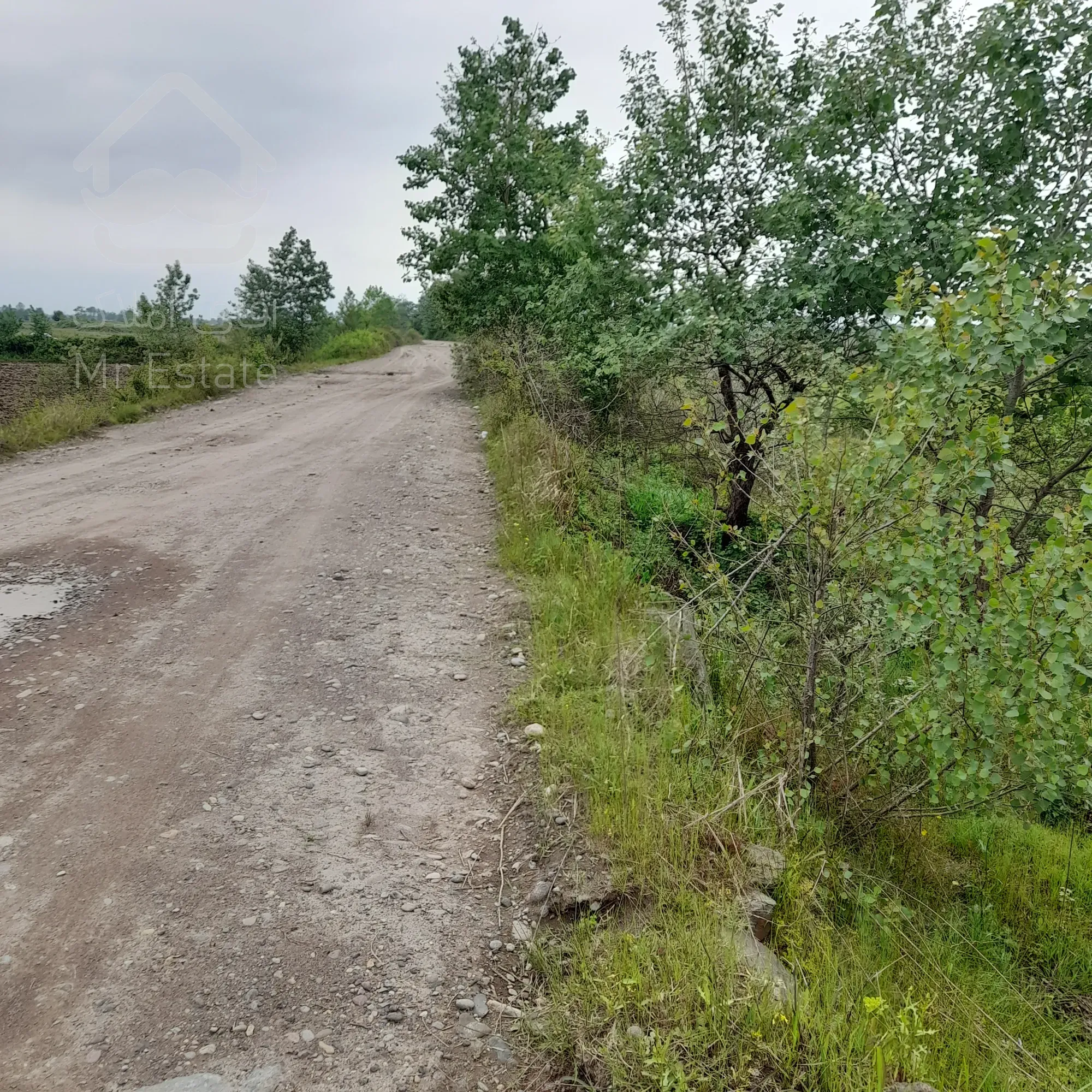 ۱۰۰۰۰مترفروش زمین داخل طرح