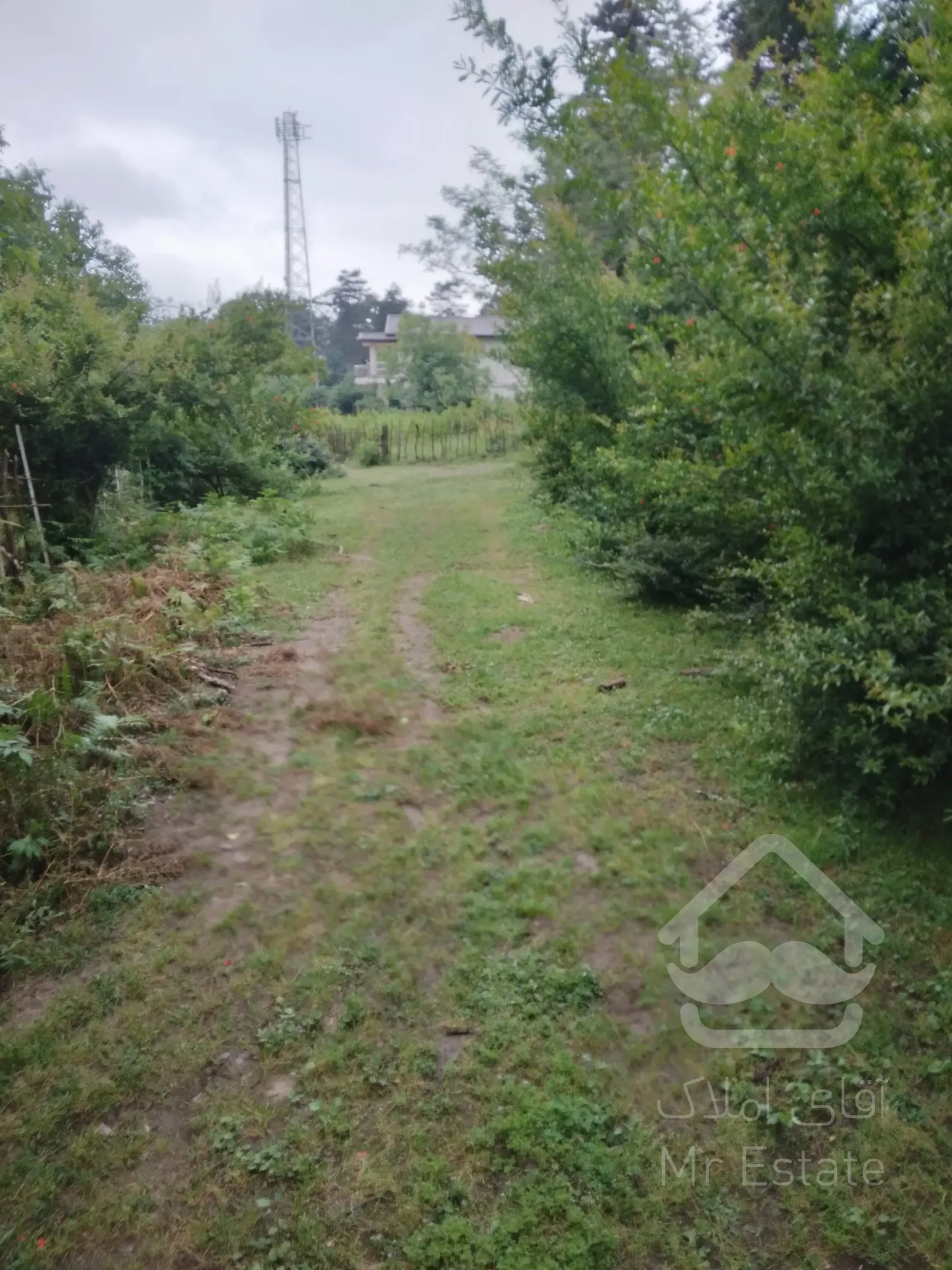 فروش زمین درگیلان.رشت.جاده انزلی.روستای بیجاربنه.