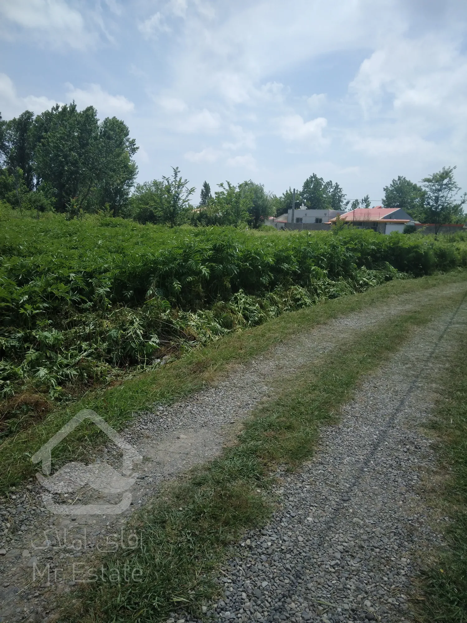 فروش زمین مسکونی درگیلان.رشت.بیجاربنه.