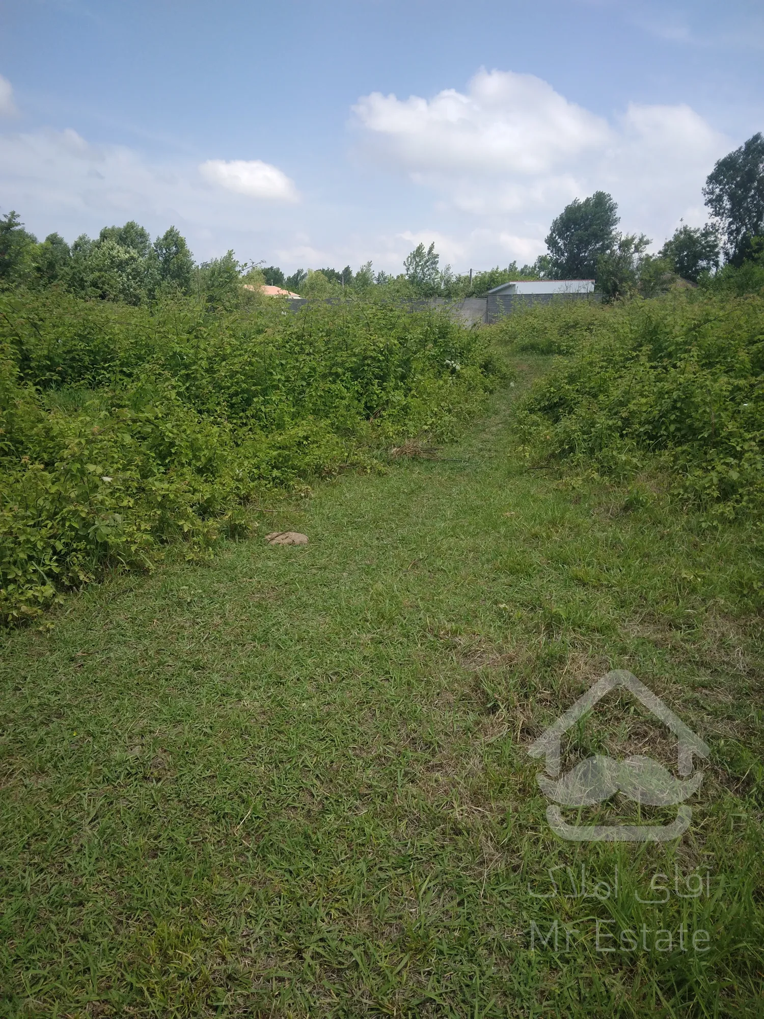 فروش زمین مسکونی درگیلان.رشت.بیجاربنه.