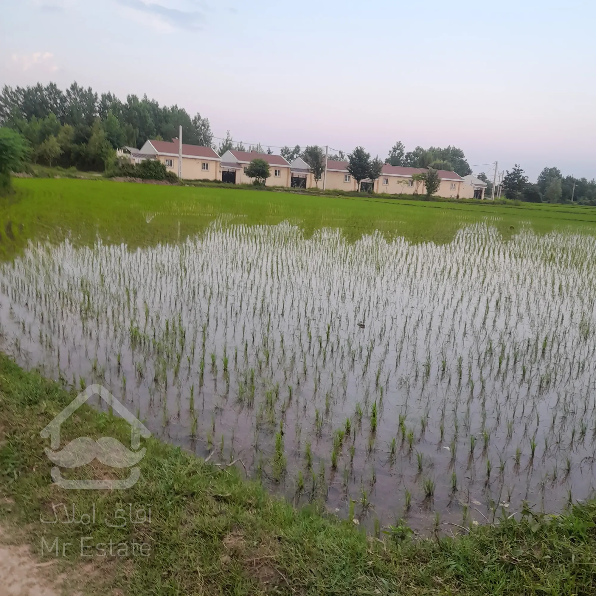 فروش زمین۸۰۰متری مسکونی