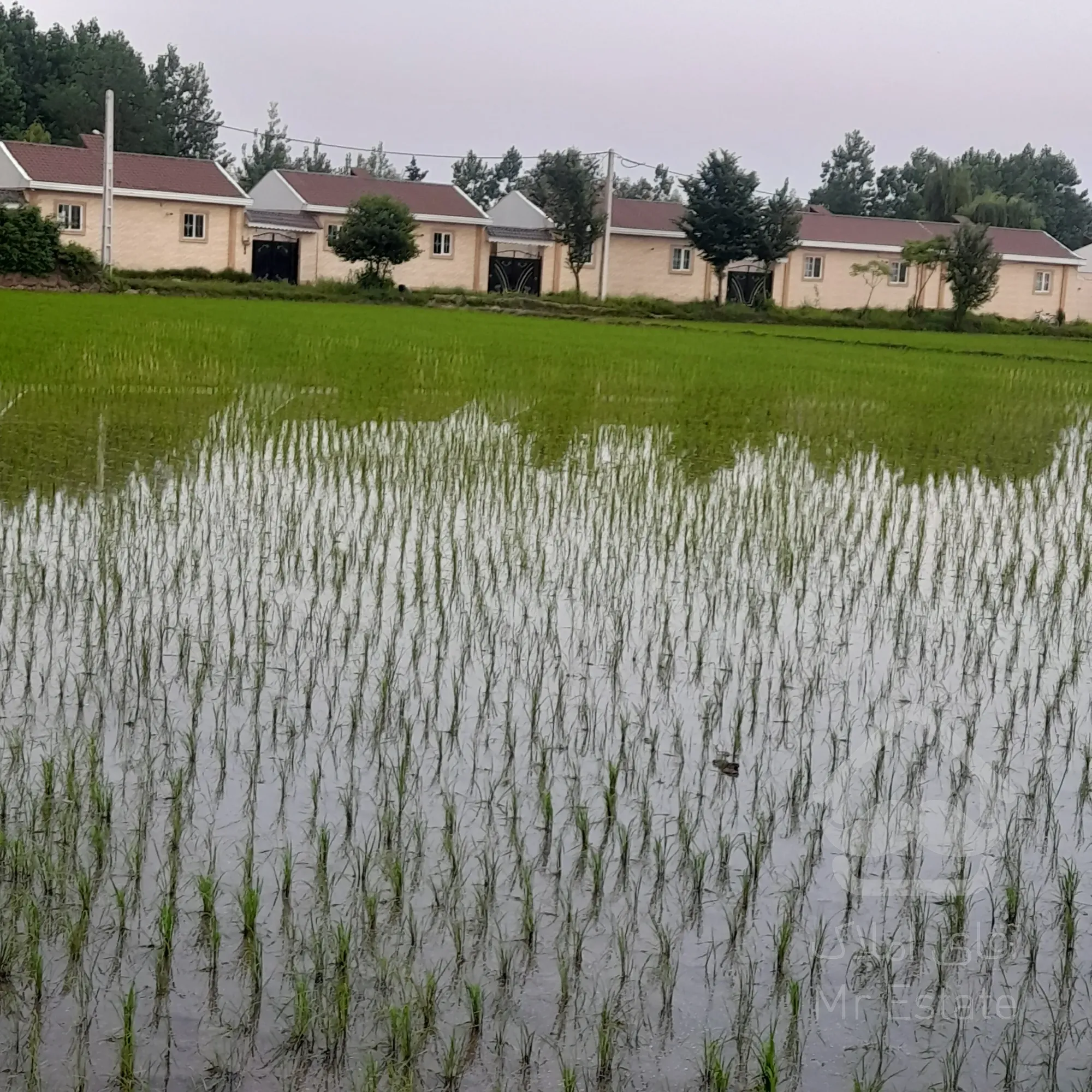 فروش زمین۸۰۰متری مسکونی