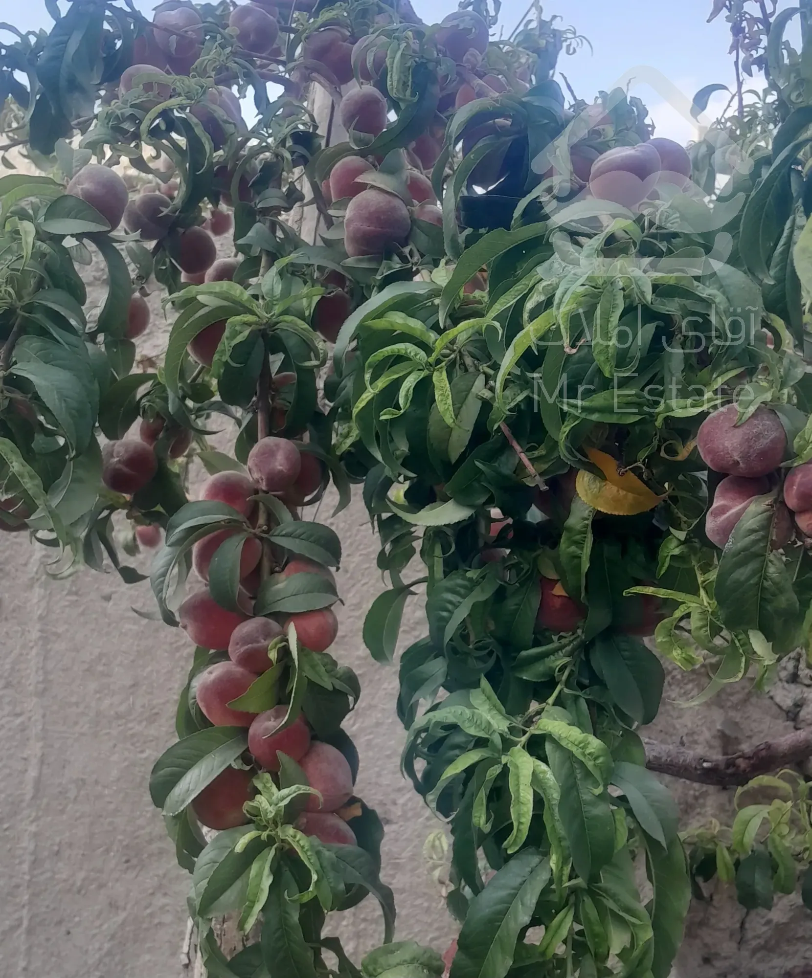 فروش خانه دوطبقه مهندسی