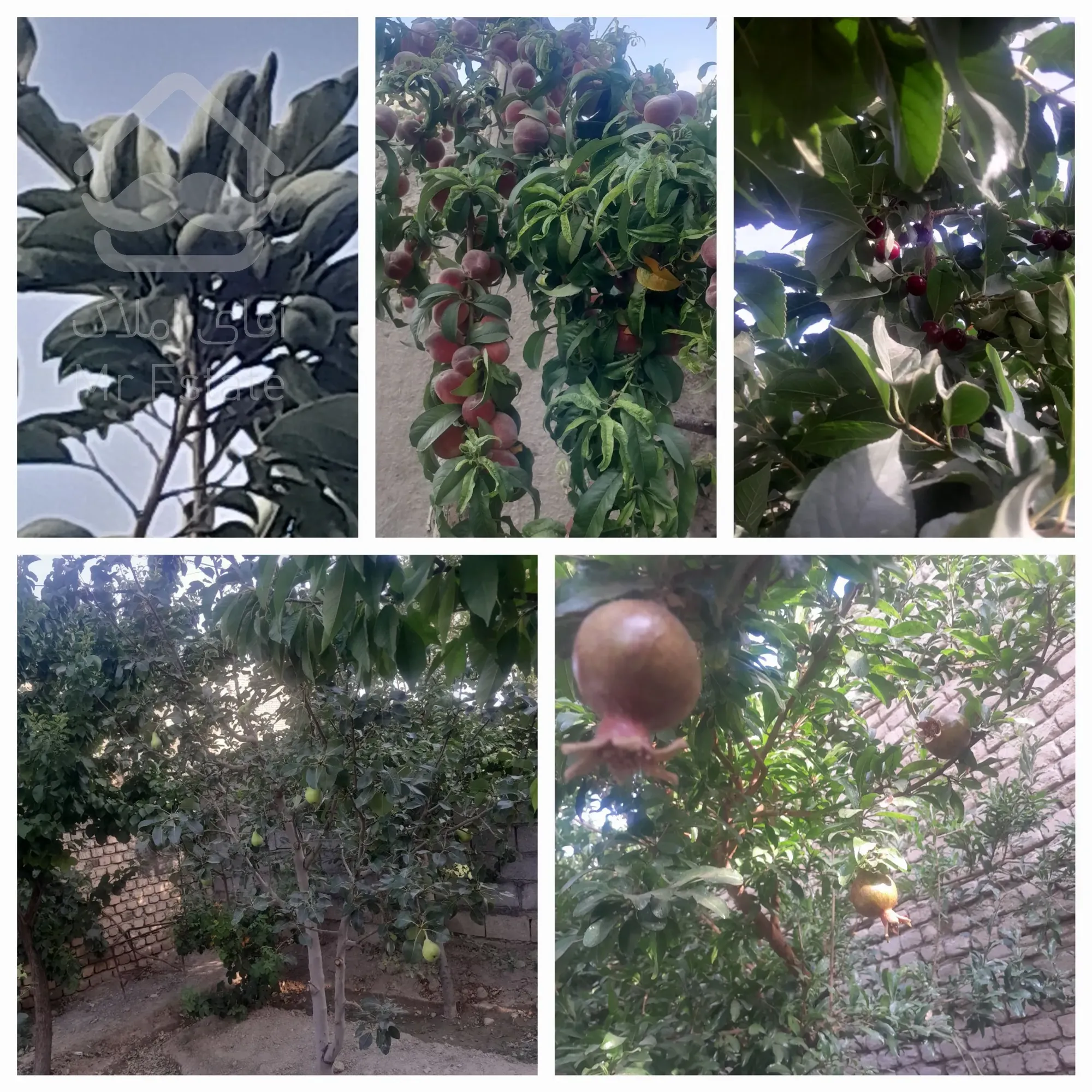 فروش خانه دوطبقه مهندسی