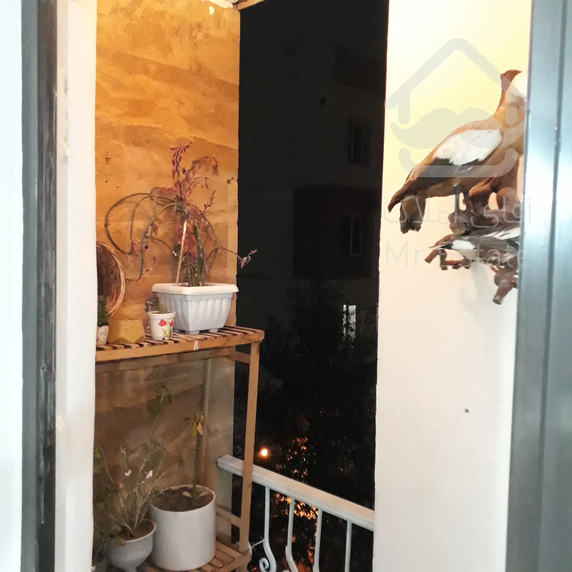 ۱۲۲متری تکواحدی ۳نبش دندانپزشکان۹