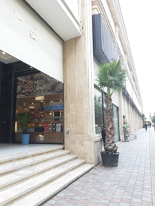 فروش واحد 67 متر رونیکامال در هروی