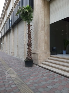 فروش تجاری رونیکا مال هروی در بهترین لوکیشن تهران با بهترین متریال