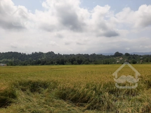 فروش زمین زراعی براصلی کتشال