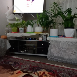 خانه مسکونی تجاری