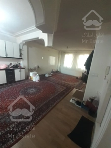 60متری/یک خواب/تکواحدی/بریانک