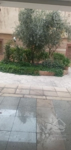 اکازیون واقعی ۱۵۵ متری / کامرانیه جنوبی