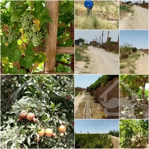 فروش باغ به متراژ 1600